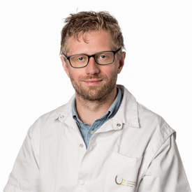 prof. dr. Miguel D'Haeseleer