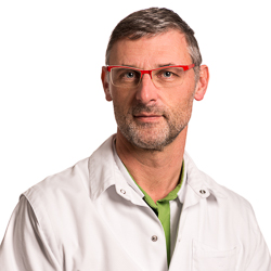 prof. dr. Johan Vanlauwe