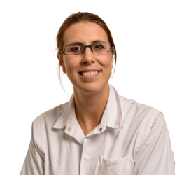 Prof. dr. Marian Vanhoeij