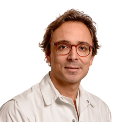 Prof. dr. Gian-Battista Chierchia
