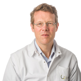 prof. dr. Frederik Hes
