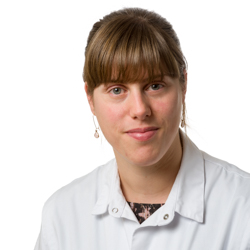 dr. Stefanie Vincken