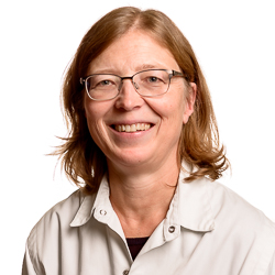 Pr Veerle De Boe